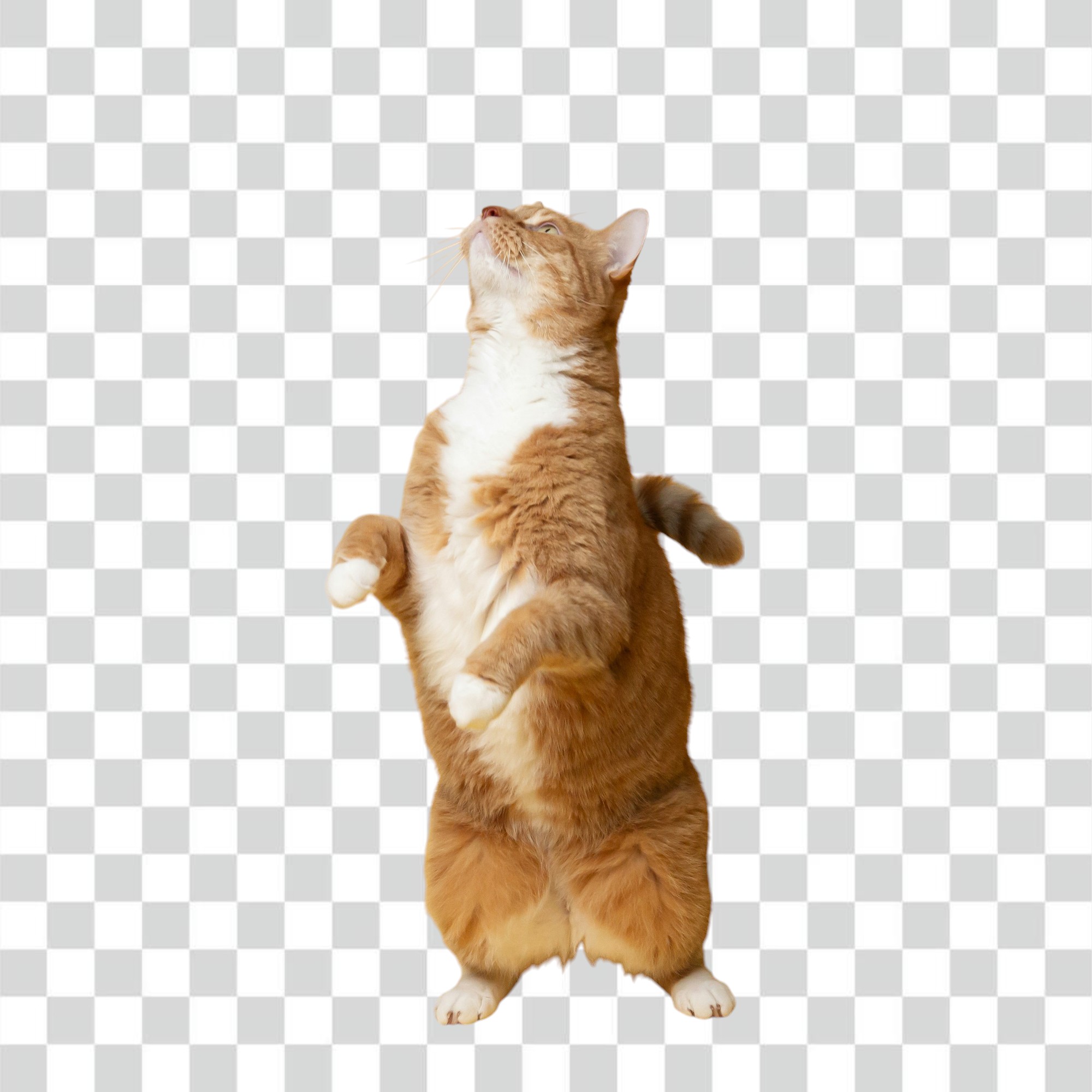 Transparent background